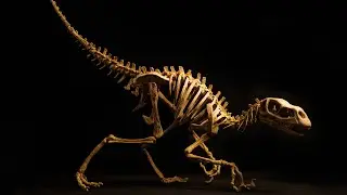 How to make an amazing 1:1 carnivorous little dinosaur with your 3D printing pen！！！