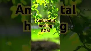 #Meditation  #Ambient  #Healing  #Mindfullness #Oriental   #ZEN  #Relaxing  #Soundscape #ethnic