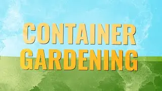 Build a container garden to maximize space in winter | Year-Round Gardening