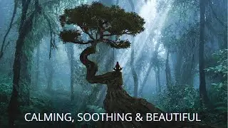 Deep Relaxation, Music for Sleep & Meditation, Nature Video Calming, Soothing & Beautiful