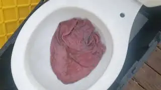 Kohler Aquapiston comparison (+Ingenium flushes)