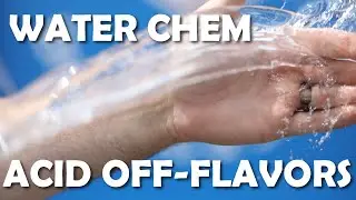 Off Flavors you Might Not know about | Water Chemistry | White IPA