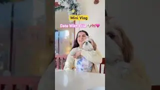 Mini Vlog : New Year&rsquo;s Date With My Shihtzu 🎀🩷🐶 #youtubeshorts #shorts #minivlog #shihtzu