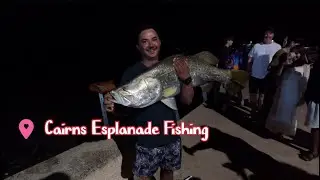 Land Based Fishing Cairns Esplanade Barramundi