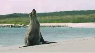 Silversea Silver Origin - Galapagos Islands