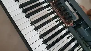 Casio Privia Hammer Cap Replacement Part 2