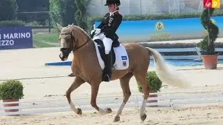 Pony Kür Nadine Krause // 15k