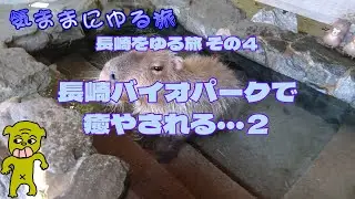 長崎をゆる旅 その４ 長崎バイオパークで癒やされる･･･２