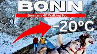 Bonn, Germany 4K Walking Tour &mdash; Captions & Immersive Sound [4K Ultra HD/60fps]