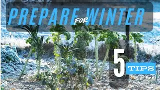 La Ni&ntilde;a Winter Gardening | Prepare Your Garden With These Essential Steps