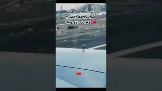 Airplane bird strike caught on camera| #viral #shorts #best