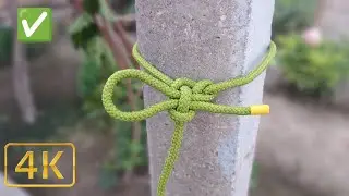 Did you know about this node? It holds any round thing