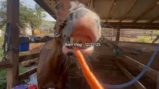 Barn vlog - 12/27/25 (go pro) !!!