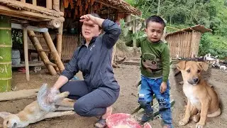 New Day - 37 Year Old Single Mother Takes Care of Poultry - Discovers Dead Puppy - Builds New Stove