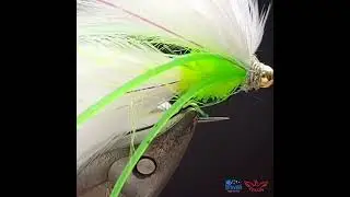 Cat's Whisker variant fly pattern - Show case fly tying short #flytying #flyfishing