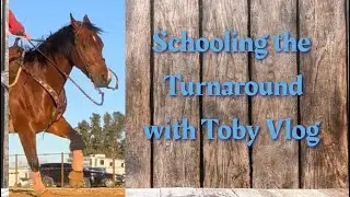 Schooling the turnaround with Toby Vlog  ❤️￼