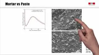 Kinetics, the Filler Effect