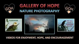 ABOUT GALLERY OF HOPE (GOH)