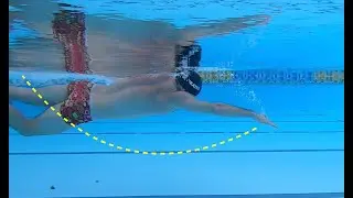 The Laws of Freestyle - Video Analysis - Frontcrawl - Stroke Phases
