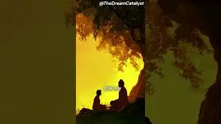 दुख का असली कारण | Buddha Teaching | Life Truth Hindi #lifelessons