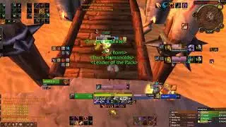 Feral Enhance vs Ret Holy - WoTLK arena skirmish