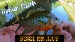 4K... Must Watch!!!!! Creek Fishing (Indian Creek) Big Sunfish and Bass..
