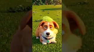 Pax and the Wind 🌬️🐶 | A Meaningful Pixar-Style Short Film #pixarstyle #corgi #cartoon #3danimation