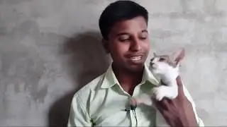 Tech True Friends Introduction And Talking With & My Cat