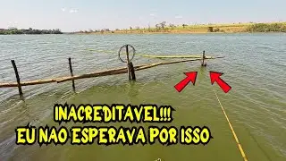 NÃO DÁ PRA ACREDITAR! Pescaria RAIZ, Os maiores estavam no pé do TOCO! Aqui tem muito peixe!