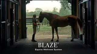 Blaze wellness per cavalli | Monitoraggio della salute e del benessere fisico per il tuo cavallo