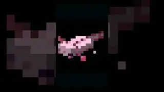 Axolotl |1 bit 2 bit 4 bit 8bit 16bit 32bit 64bit #Minecraft #Bits_Meme #Shorts #Mob
