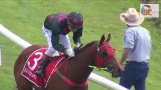 Hire A Hubby Race Day Saturday, 5th June 2021