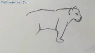 How to Draw a Jaguar In 7 EASY Steps - GREAT for Kids & Beginners