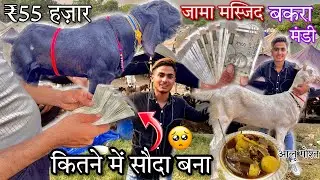 LIVE सौदा In Jama Masjid Bakra Mandi😍Kitne Me Liye Bakre🤑Mandi Ke ₹Rate“सस्ते ya महँगा”#trending
