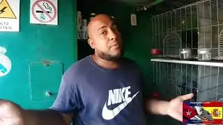 Palomares de Cuba Emigdio TEAM LOS DUROS sus palomos de Vuelo  #Palomeandoatope #viral  #palomeros