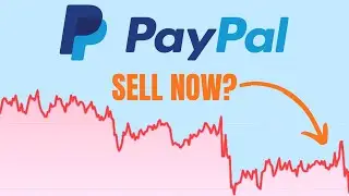 PainPal Stock Earnings Reaction - Horrible Earnings + New CEO - Stock down 15%!