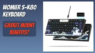 REVIEW (2026): Womier S-K80 Keyboard. Features