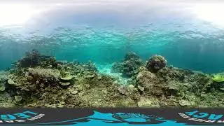 Long Sandy Reef 360