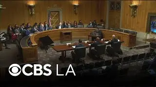 Firefighters testify in Republican-led investigation into Palisades Fire