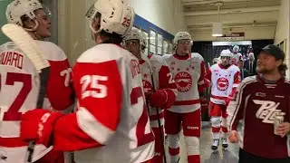 Sault Ste. Marie Greyhounds GETS INTO IT WITH A FAN