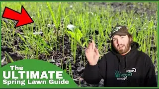 Seed Your Lawn RIGHT This Spring With These Simple Steps!!