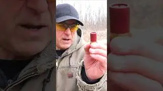 Мини-патроны Mossberg 590S Showdown против 2 3/4 патронов для самообороны