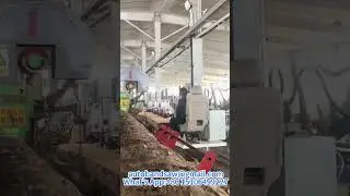 The most popular band sawmill in China with log carriage and log turning functions