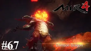 MIR4 RAID: MMORPG Crimson Dragon Nest #67