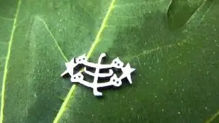 Long Healing Prayer