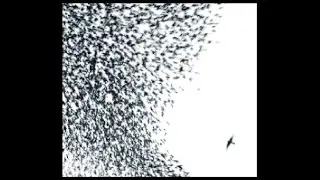Wilco - Sky Blue Sky [karaoke]