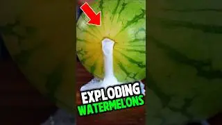Exploding Watermelons 🍉 #viral