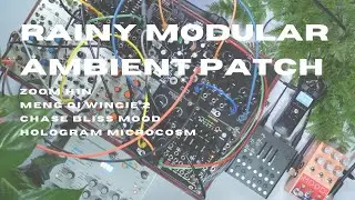 Rainy Modular Ambient Patch - Zoom H1N/Meng Qi Wingie 2/ Chase Bliss Mood/Hologram Microcosm