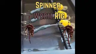 Spinner Worm Rig   #shorts #carpfishing