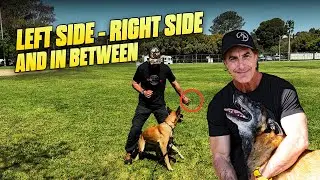 Make Obedience a Fun Game and Your Dog Will LOVE It